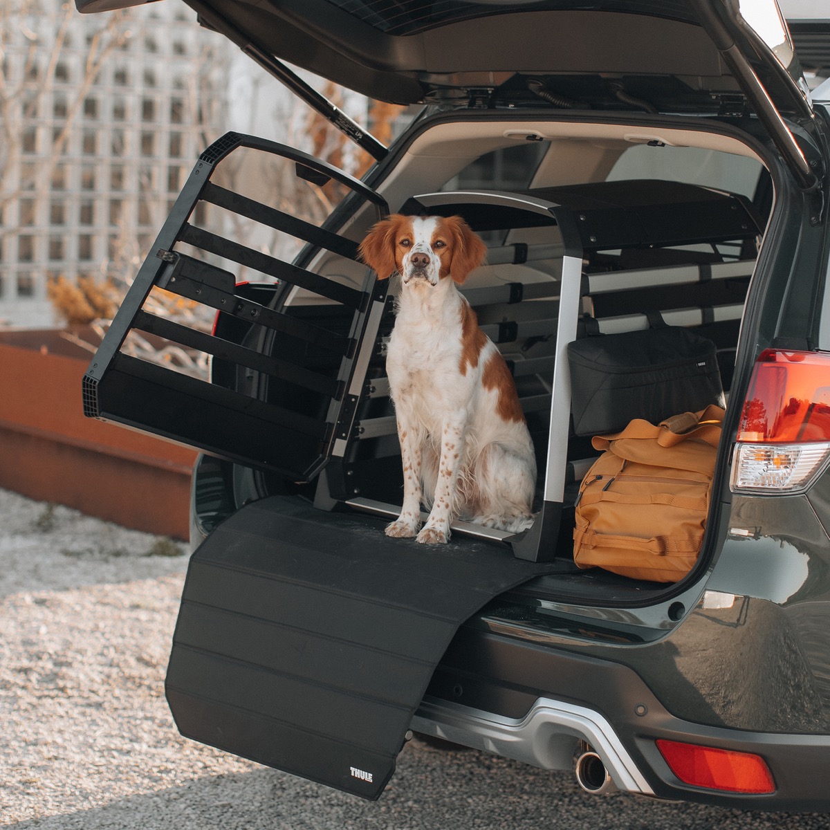 Thule Leinenhaken für Hundebox – Bild 4