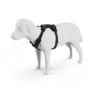 Thule Dart Hundegeschirr (black)